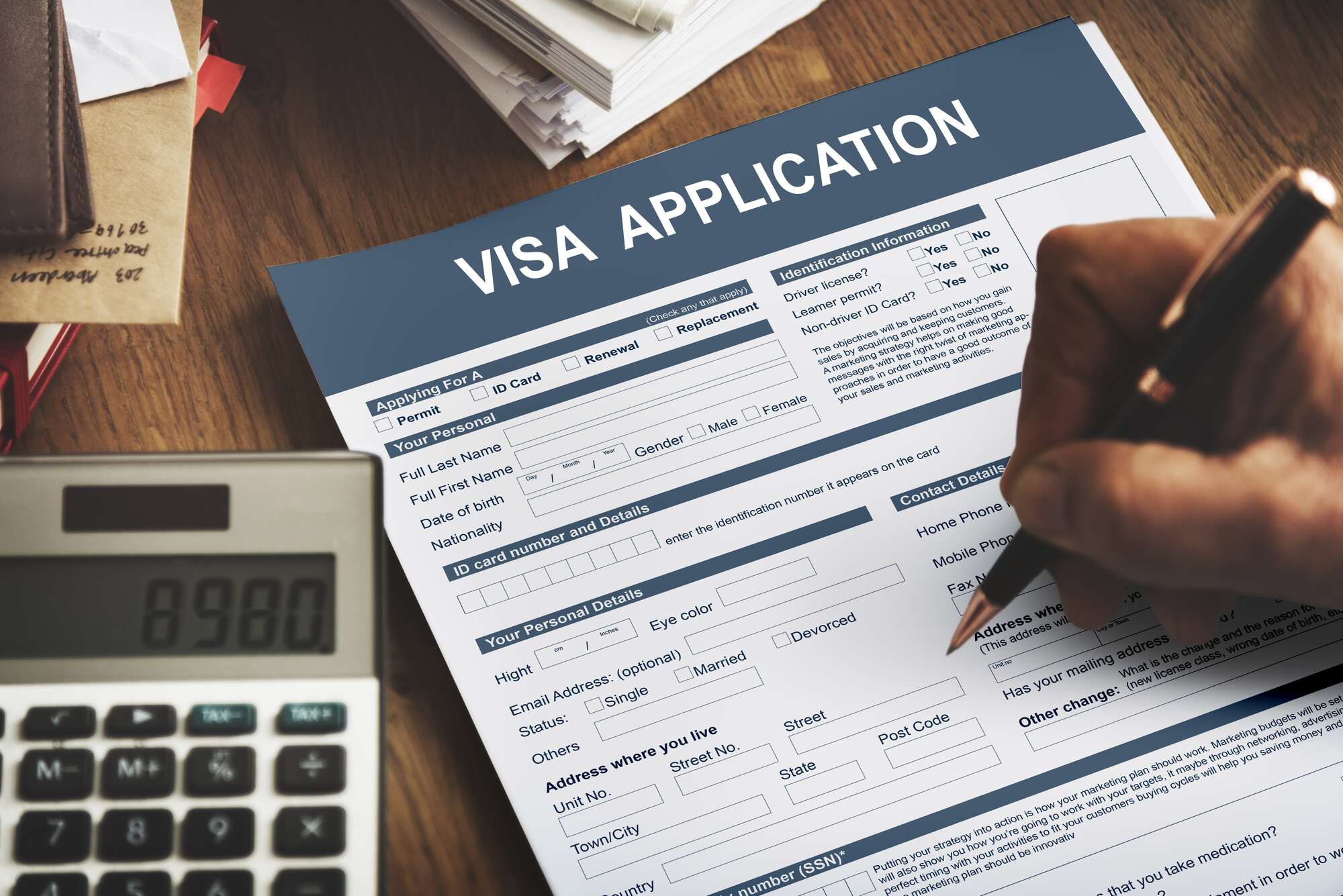 visa-data.jpg